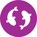 Responsible sourcing