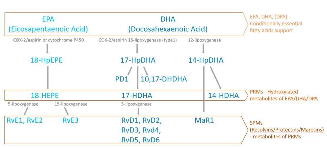 Metabolic Pathways to Resolution